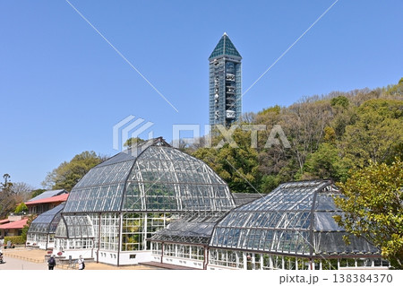 東山スカイタワーと大温室 138384370