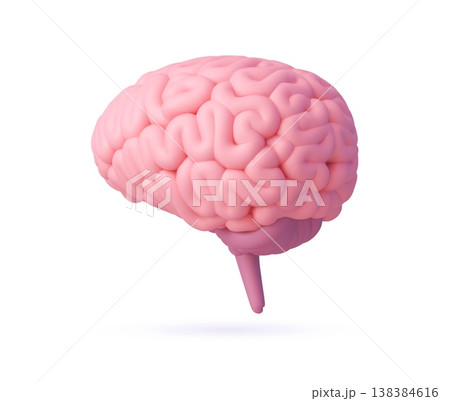 3d human brain rendered on clean white background. Medical vector brain for educational materials, health and science presentation, psychology blog, tech and innovation branding 3d human brain rendered on clean white background. Medical vector brain for educational materials, health and science presentation, psychology blog, tech and innovation branding 138384616