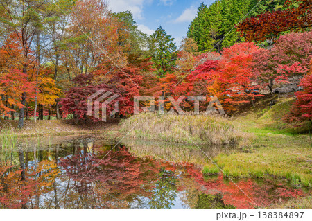 豊田市のタカドヤ湿地の風景(愛知県) 138384897