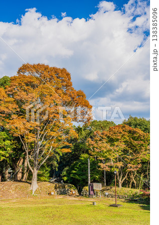 浜松市の二俣城跡の風景(静岡県) 浜松市の二俣城跡の風景(静岡県) 138385096