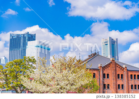 (神奈川県)横浜みなとみらい 春の赤レンガパーク (神奈川県)横浜みなとみらい 春の赤レンガパーク 138385152