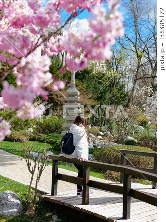 Woman enjoying cherry blossoms in a tranquil Japanese garden in spring. Early nature awakening. Woman enjoying cherry blossoms in a tranquil Japanese garden in spring. Early nature awakening. 138385172