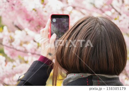 A young woman photographing cherry blossoms with red smartphone in the japanese park, representing seasonal spring tourism. 138385179