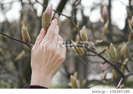Female hand with a ring on the ring finger gently touching a magnolia bud in spring. Vitality and enjoyment of the moment Female hand with a ring on the ring finger gently touching a magnolia bud in spring. Vitality and enjoyment of the moment 138385186