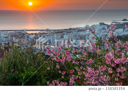 沖縄県名護市 名護城公園さくらの園の早咲きの琉球寒緋桜と夕焼けの名護湾に沈む夕陽 沖縄県名護市 名護城公園さくらの園の早咲きの琉球寒緋桜と夕焼けの名護湾に沈む夕陽 138385359