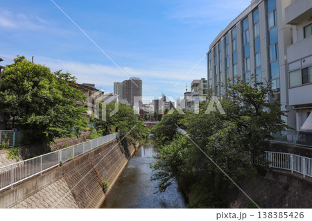 大岡川(神奈川県横浜市港南区) 大岡川(神奈川県横浜市港南区) 138385426