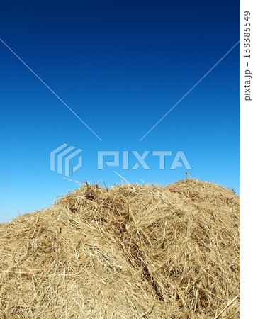 江戸川土手の除草された枯れ草置き場に置かれた干し草と冬の青空	 138385549