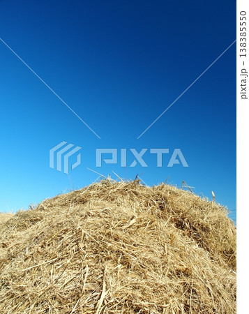 江戸川土手の除草された枯れ草置き場に置かれた干し草と冬の青空	 138385550