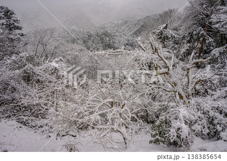 雪(高尾山、かすみ台展望台) 雪(高尾山、かすみ台展望台) 138385654