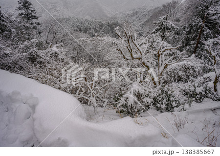 雪(高尾山、かすみ台展望台) 雪(高尾山、かすみ台展望台) 138385667