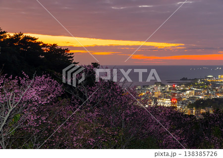 沖縄県名護市　名護城公園さくらの園の早咲きの琉球寒緋桜と街の夜景越しの名護湾の夕焼け 138385726