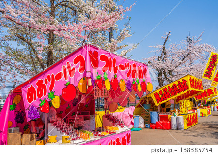 八王子市 桜祭り 富士森公園 八王子市 桜祭り 富士森公園 138385754
