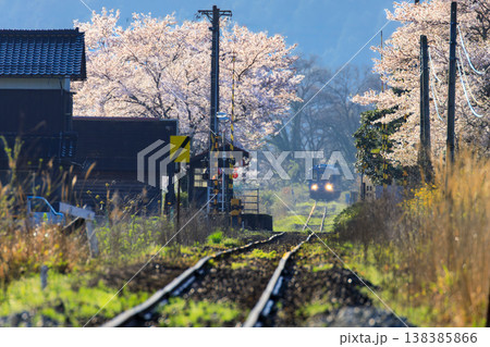 朝日に照らされて満開の桜が輝く安部駅に若桜鉄道の気動車が入線する 朝日に照らされて満開の桜が輝く安部駅に若桜鉄道の気動車が入線する 138385866