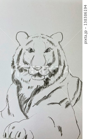 リアル虎ペン画完全版 138386194