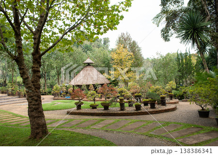 bonsai plantation at Royal Agricultural Station Angkhang in Chiang Mai,Thailand. bonsai plantation at Royal Agricultural Station Angkhang in Chiang Mai,Thailand. 138386341