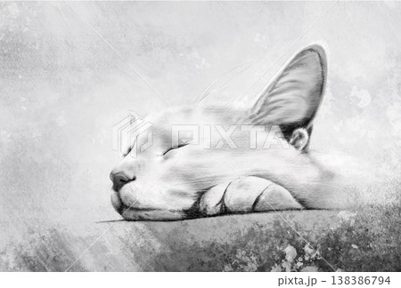 Sleeping Cat in Grayscale Sketch Style Sleeping Cat in Grayscale Sketch Style 138386794