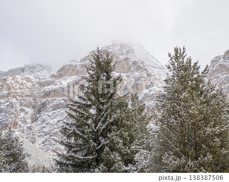 dolomites trees covered by snow in winter season 138387506