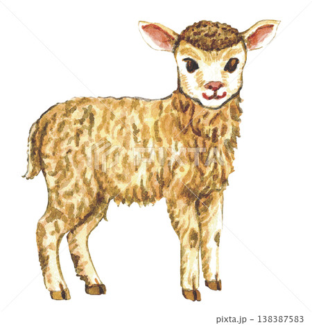 Goat Illustration Farm Animal Goat Illustration Farm Animal 138387583