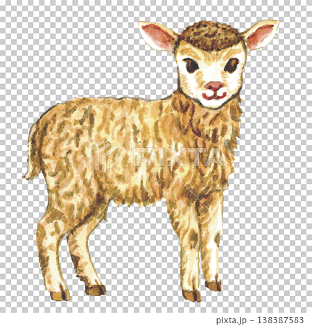 Goat Illustration Farm Animal Goat Illustration Farm Animal 138387583