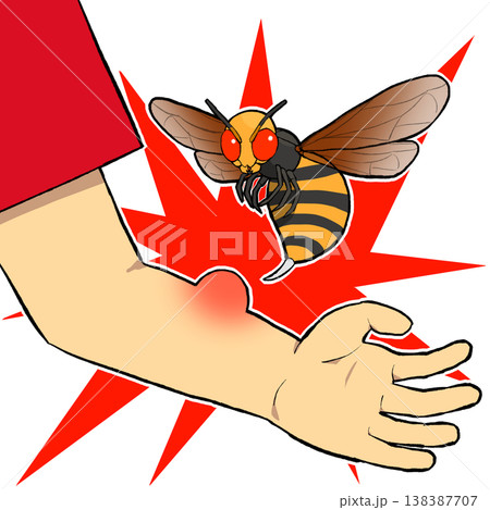 スズメバチ注意のイラスト スズメバチ注意のイラスト 138387707