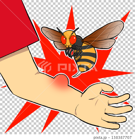 スズメバチ注意のイラスト スズメバチ注意のイラスト 138387707