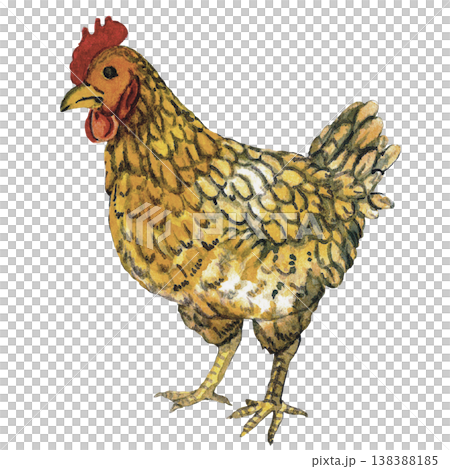 Eco Light Bulb with Leaves and Butterflies Green Energy Concept Eco Light Bulb with Leaves and Butterflies Green Energy Concept 138388185