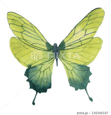 Eco Light Bulb with Leaves and Butterflies Green Energy Concept 138388187