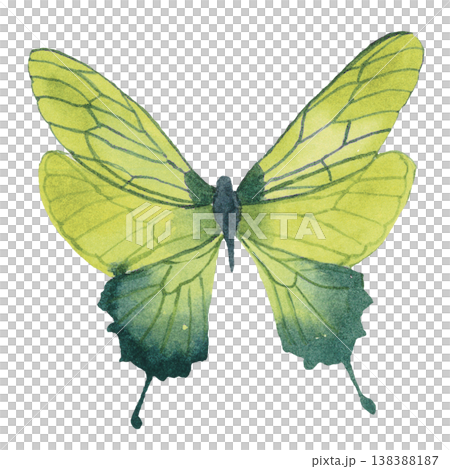 Eco Light Bulb with Leaves and Butterflies Green Energy Concept 138388187