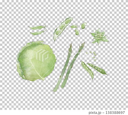 一幅描繪春季綠色蔬菜的水彩插圖。 138388697