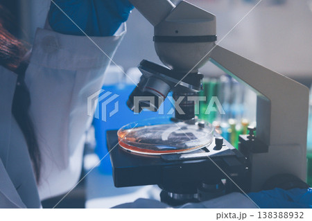 Science, laboratory and woman with pipette, test tube and biotech solution in research. Medical innovation, scientist or lab technician in study for healthcare, medicine and vaccine results feedback. Science, laboratory and woman with pipette, test tube and biotech solution in research. Medical innovation, scientist or lab technician in study for healthcare, medicine and vaccine results feedback. 138388932