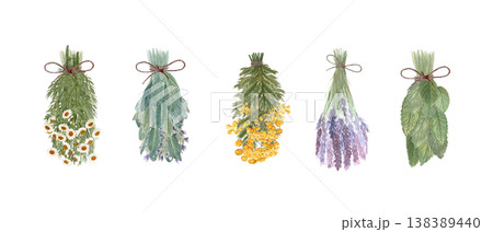 Set of dried herb bundles with chamomile, sage, blue tansy, lavender and mint. Hand painted botanical watercolor clipart of isolated herbs for labels, branding, natural design and herbal packaging 138389440