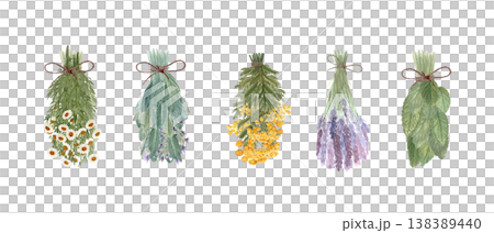 Set of dried herb bundles with chamomile, sage, blue tansy, lavender and mint. Hand painted botanical watercolor clipart of isolated herbs for labels, branding, natural design and herbal packaging 138389440