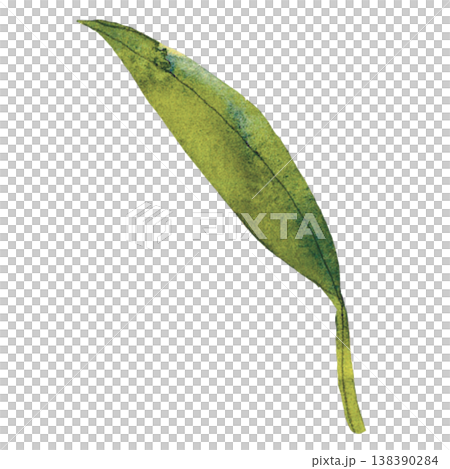 Single Green Leaf Illustration  Nature Element 138390284