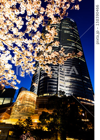 夜桜　～東京・六本木ヒルズ・1～ 138390466