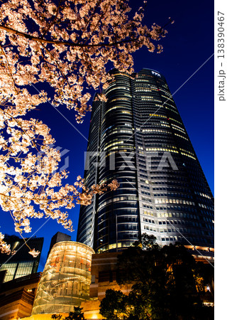 夜桜　～東京・六本木ヒルズ・4～ 138390467