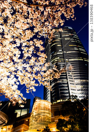 夜桜 ~東京・六本木ヒルズ・5~ 夜桜 ~東京・六本木ヒルズ・5~ 138390468