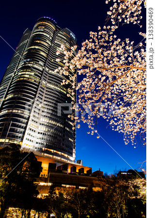 夜桜　～東京・六本木ヒルズ・6～ 138390469