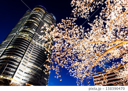 夜桜　～東京・六本木ヒルズ・7～ 138390470