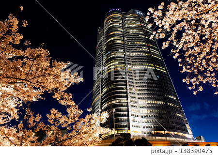 夜桜　～東京・六本木ヒルズ・10～ 138390475