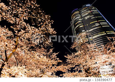 夜桜　～東京・六本木ヒルズ・11～ 138390477