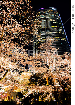 夜桜　～東京・六本木ヒルズ・2～ 138390480