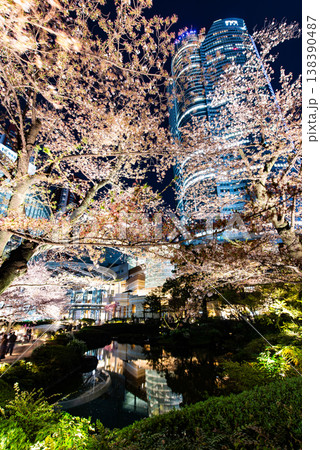 夜桜　～東京・六本木ヒルズ・14～ 138390487