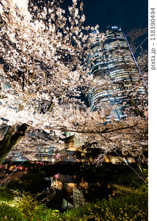 夜桜　～東京・六本木ヒルズ・20～ 138390494