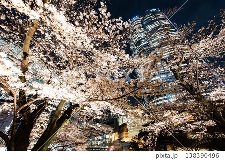 夜桜 ~東京・六本木ヒルズ・22~ 夜桜 ~東京・六本木ヒルズ・22~ 138390496