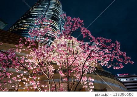 夜桜　～東京・六本木ヒルズ・26～ 138390500