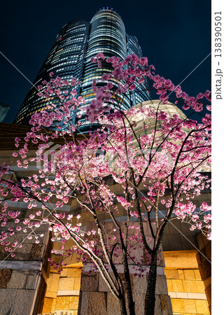 夜桜 ~東京・六本木ヒルズ・27~ 夜桜 ~東京・六本木ヒルズ・27~ 138390501