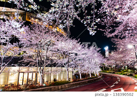 夜桜　～東京・東京ミッドタウン・1～ 138390502