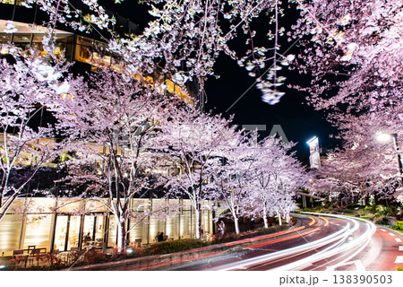 夜桜　～東京・東京ミッドタウン・2～ 138390503