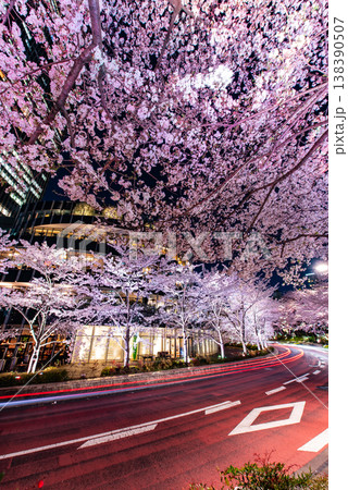 夜桜　～東京・東京ミッドタウン・6～ 138390507