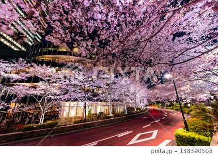 夜桜　～東京・東京ミッドタウン・7～ 138390508